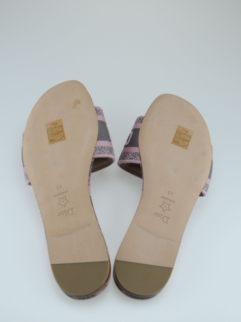 Dior Dway slides