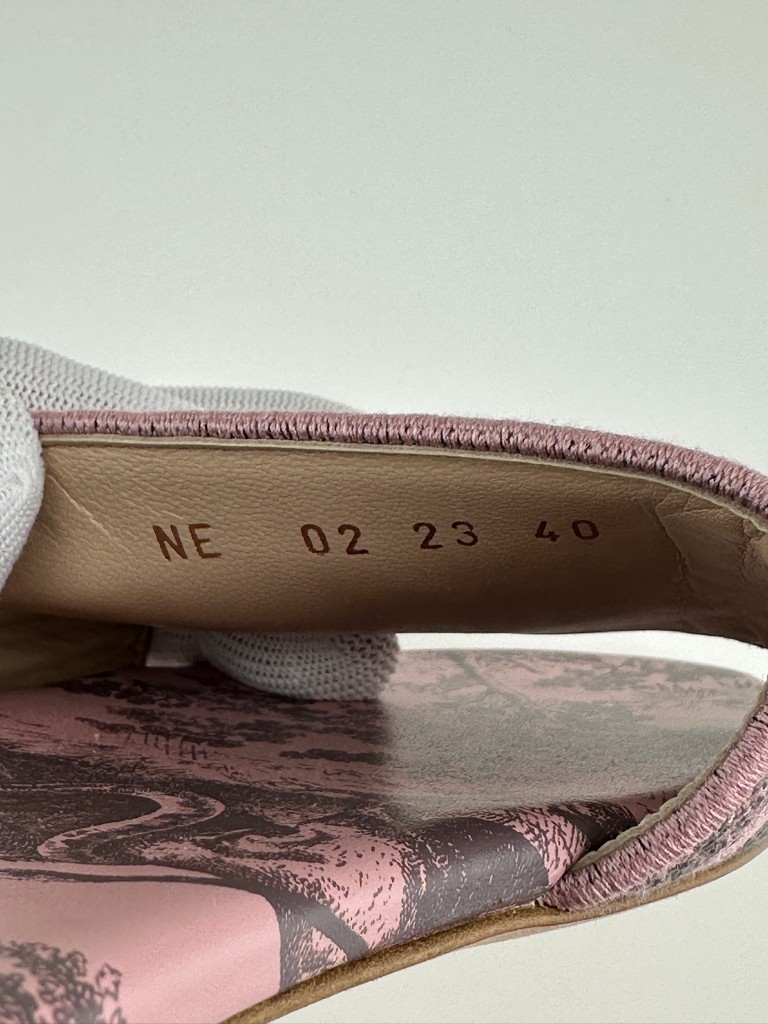 Dior Dway slides
