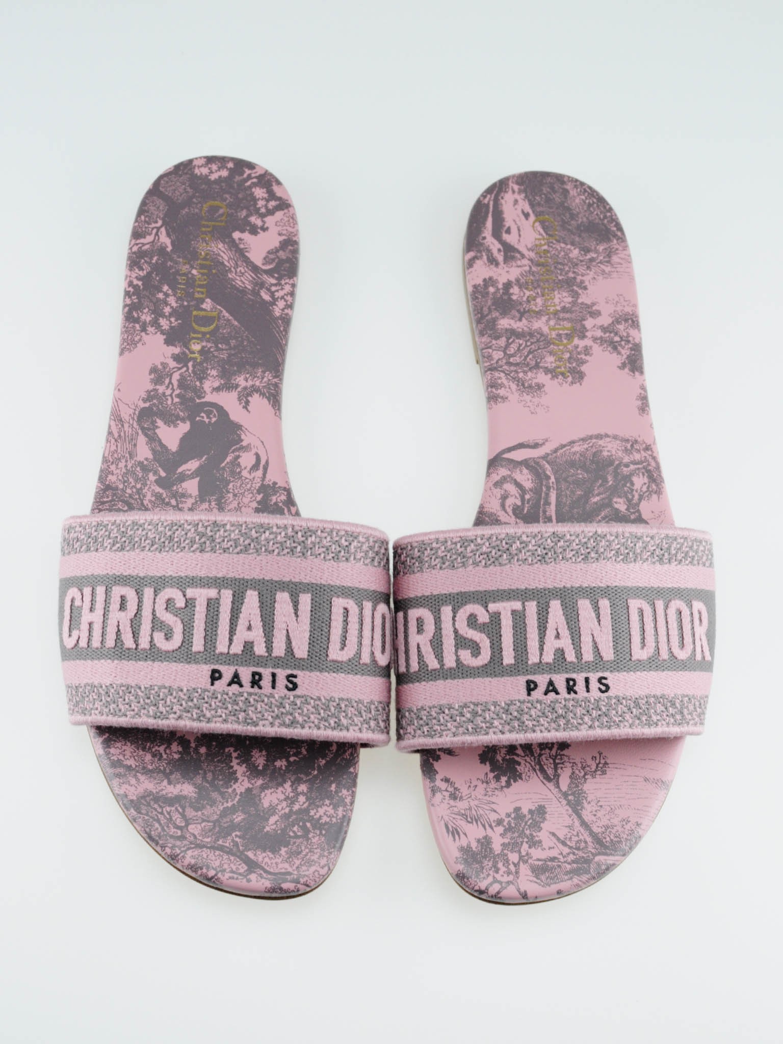 Dior Dway slides