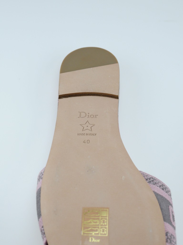 Dior Dway slides