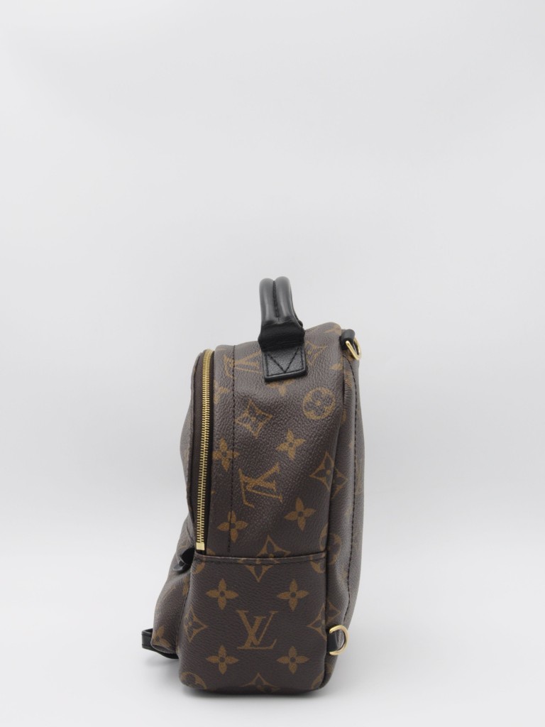 Louis Vuitton Palm Springs Mini backpack