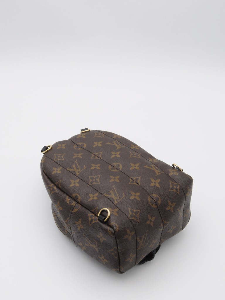 Louis Vuitton Palm Springs Mini backpack