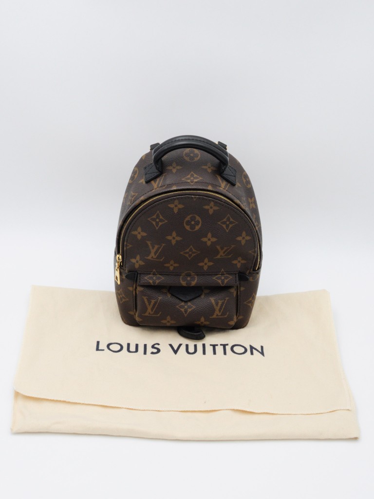 Louis Vuitton Palm Springs Mini backpack