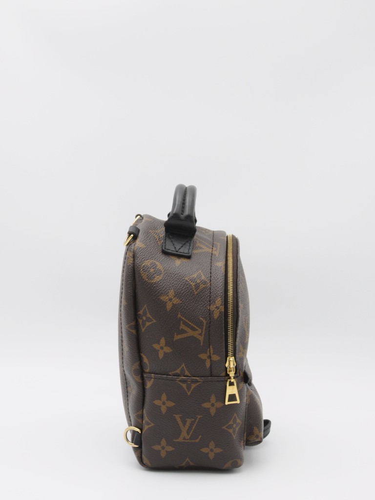 Louis Vuitton Palm Springs Mini backpack