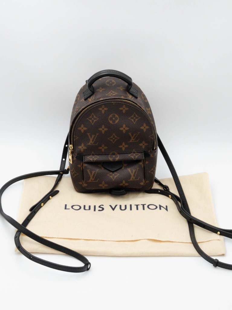 Louis Vuitton Palm Springs Mini backpack