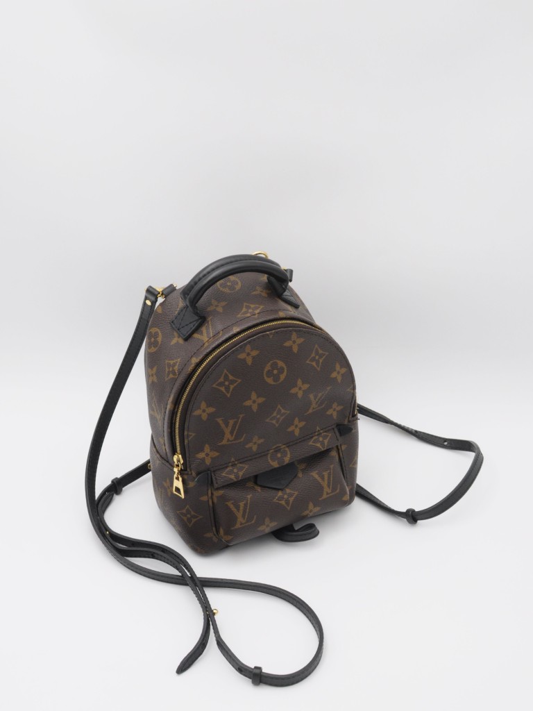 Louis Vuitton Palm Springs Mini backpack