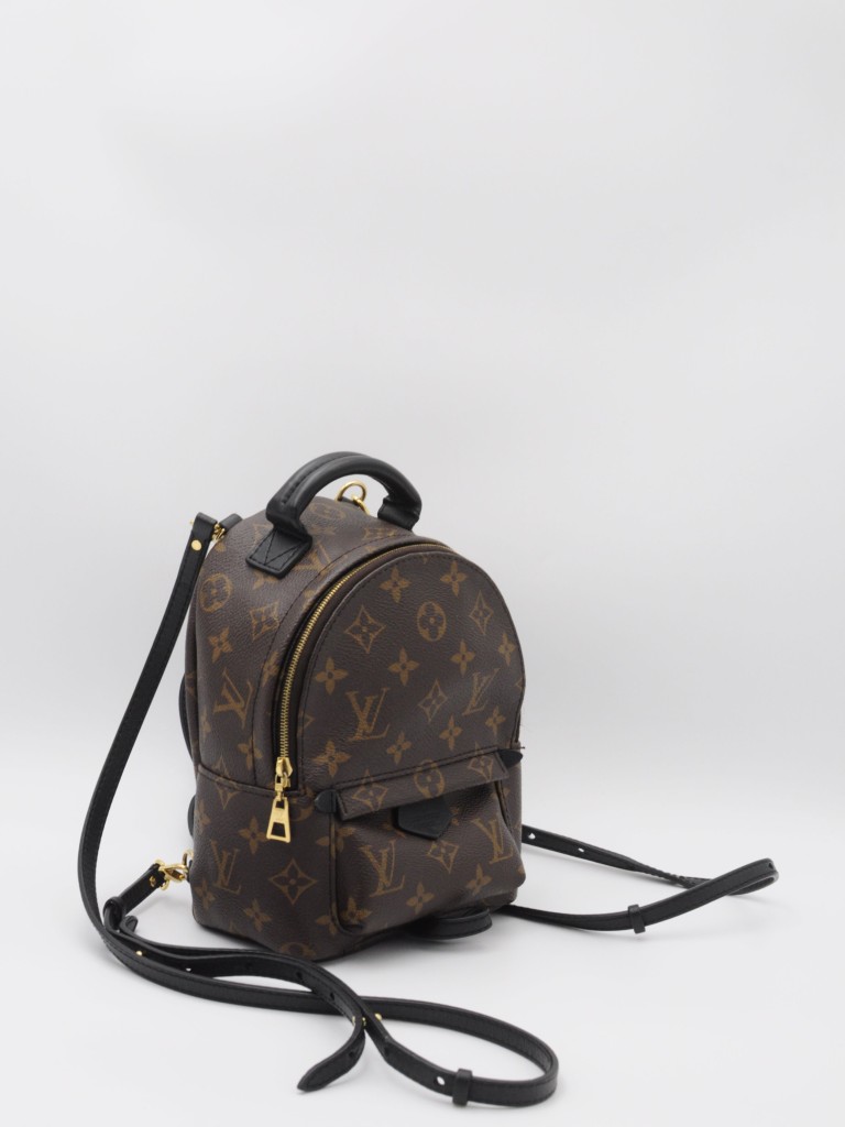 Louis Vuitton Palm Springs Mini backpack