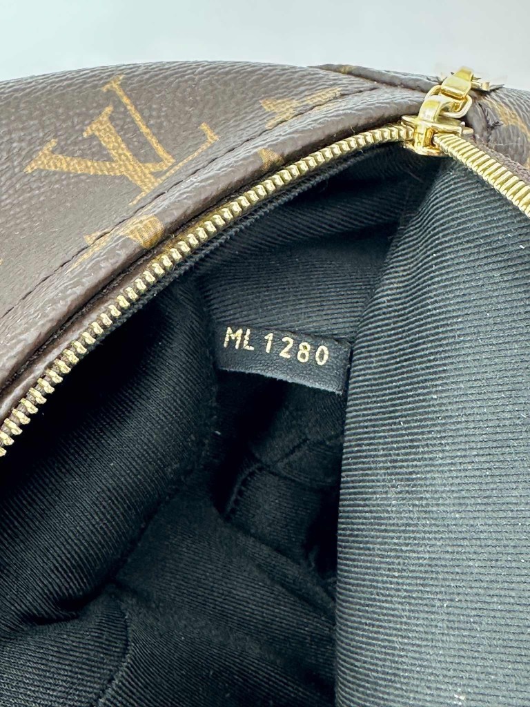 Louis Vuitton Palm Springs Mini backpack