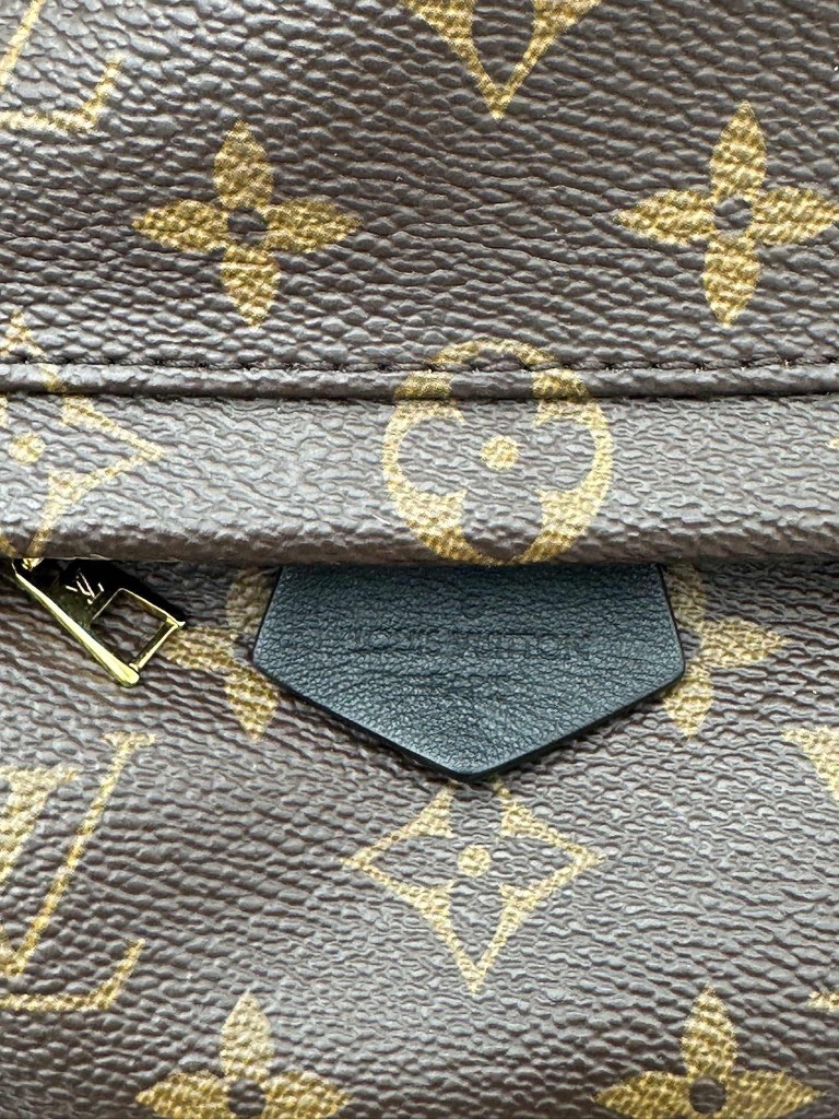 Louis Vuitton Palm Springs Mini backpack