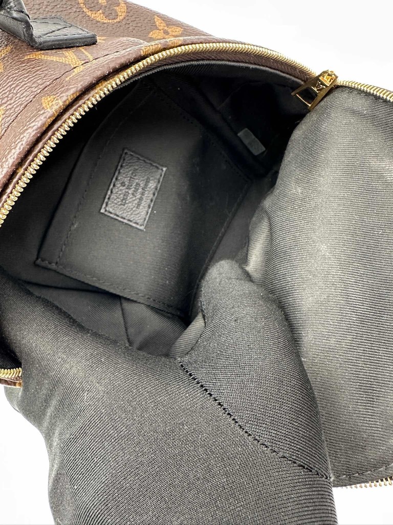 Louis Vuitton Palm Springs Mini backpack