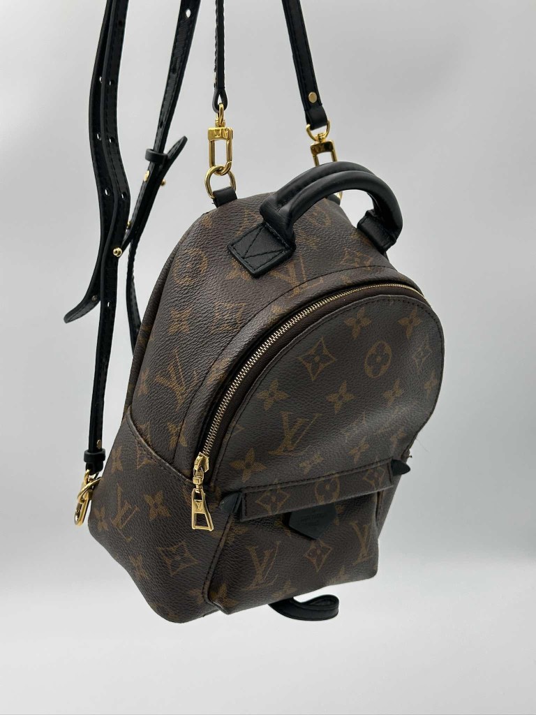 Louis Vuitton Palm Springs Mini backpack