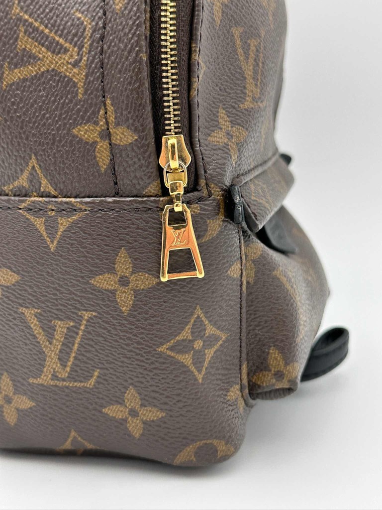 Louis Vuitton Palm Springs Mini backpack