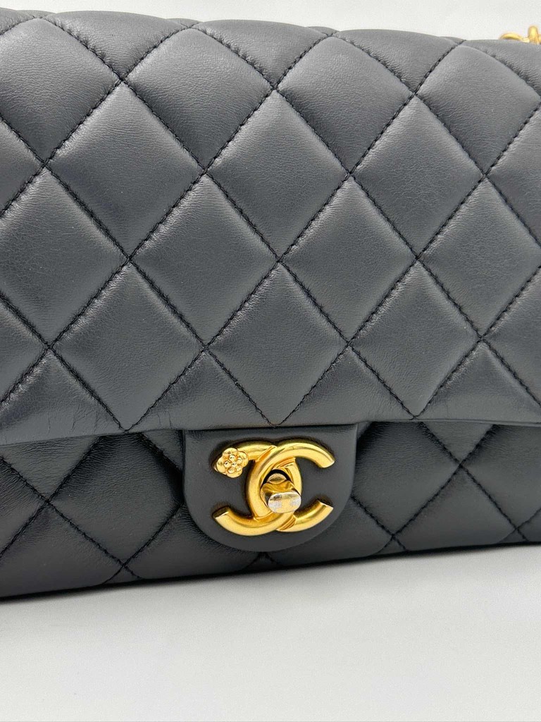 Torebka Chanel Seasonal Flap