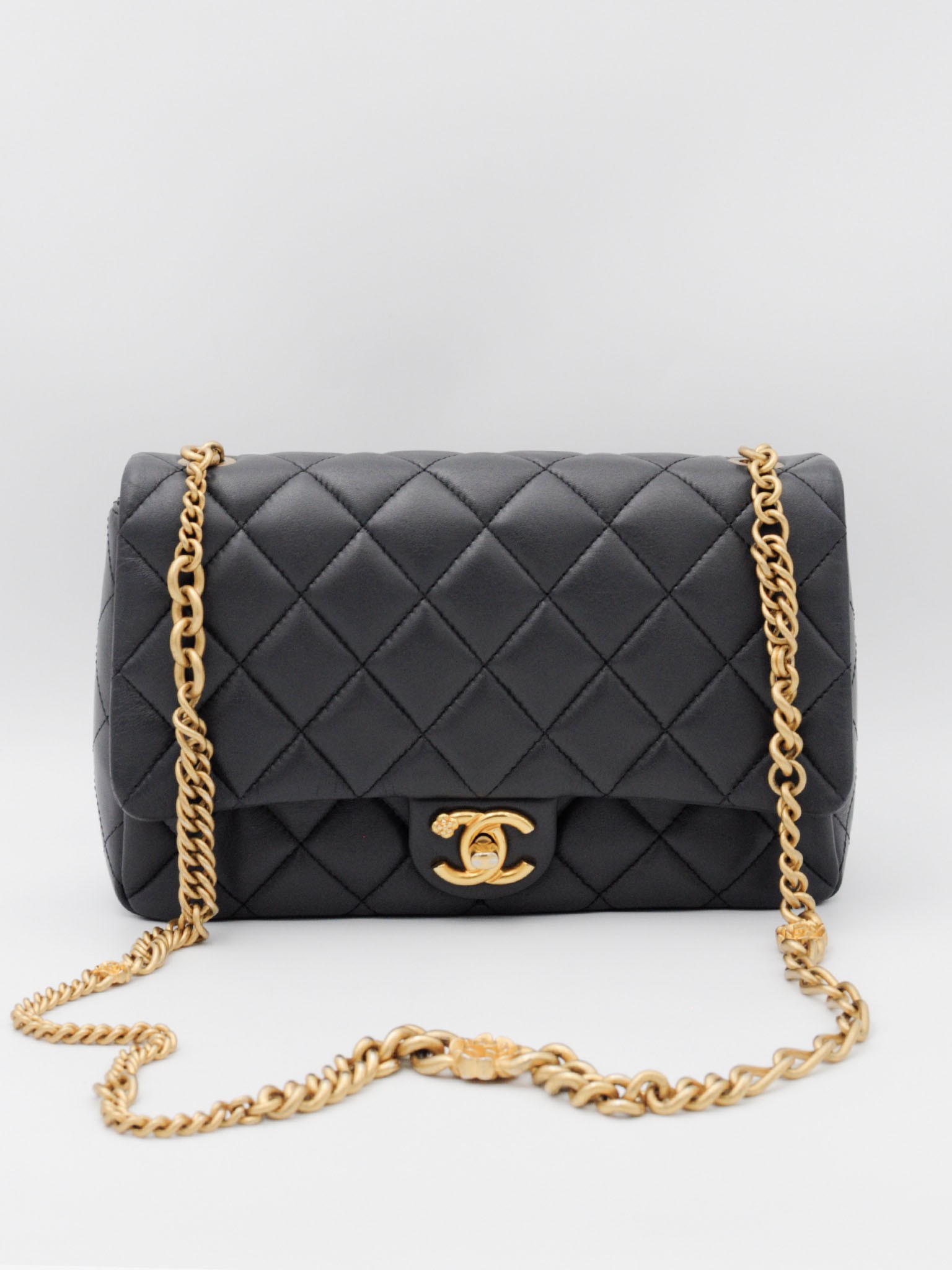 Torebka Chanel Seasonal Flap