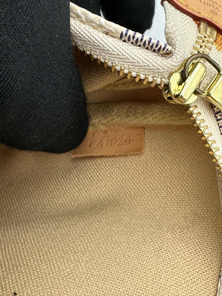 Louis Vuitton Pochette Accessoires bag