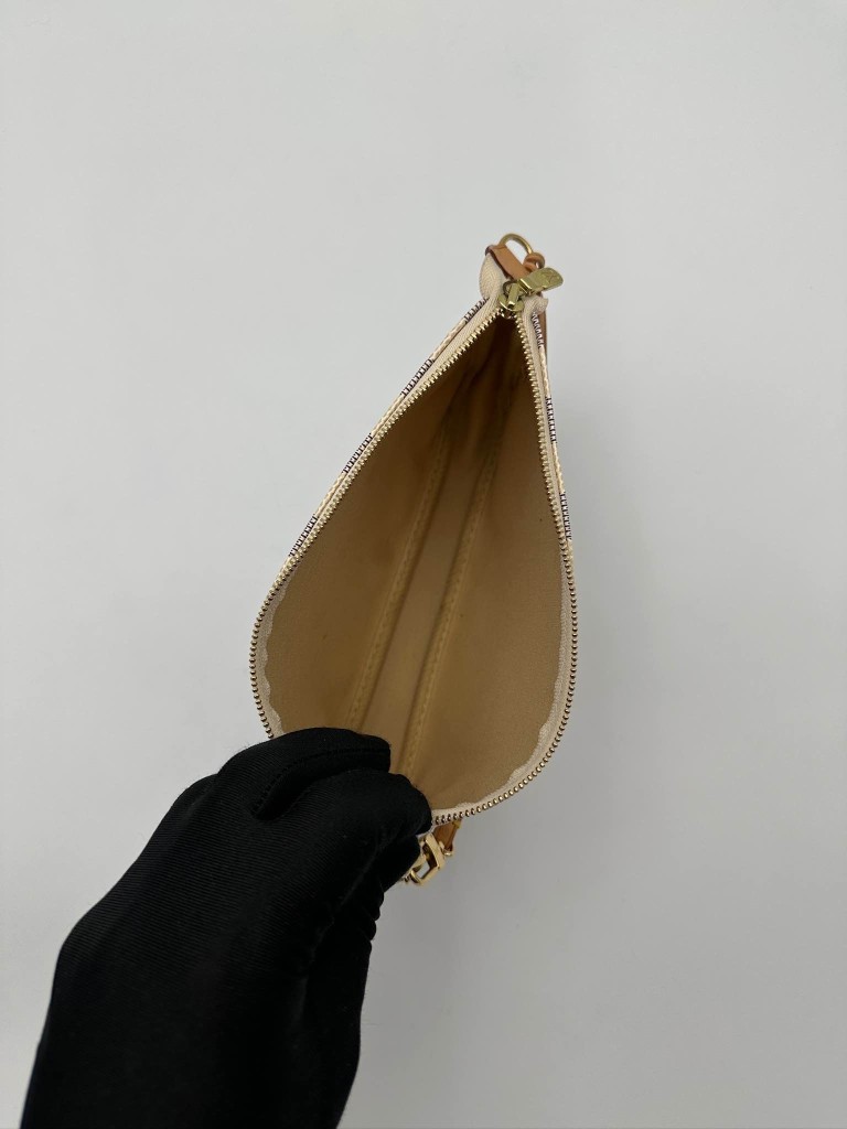 Louis Vuitton Pochette Accessoires bag