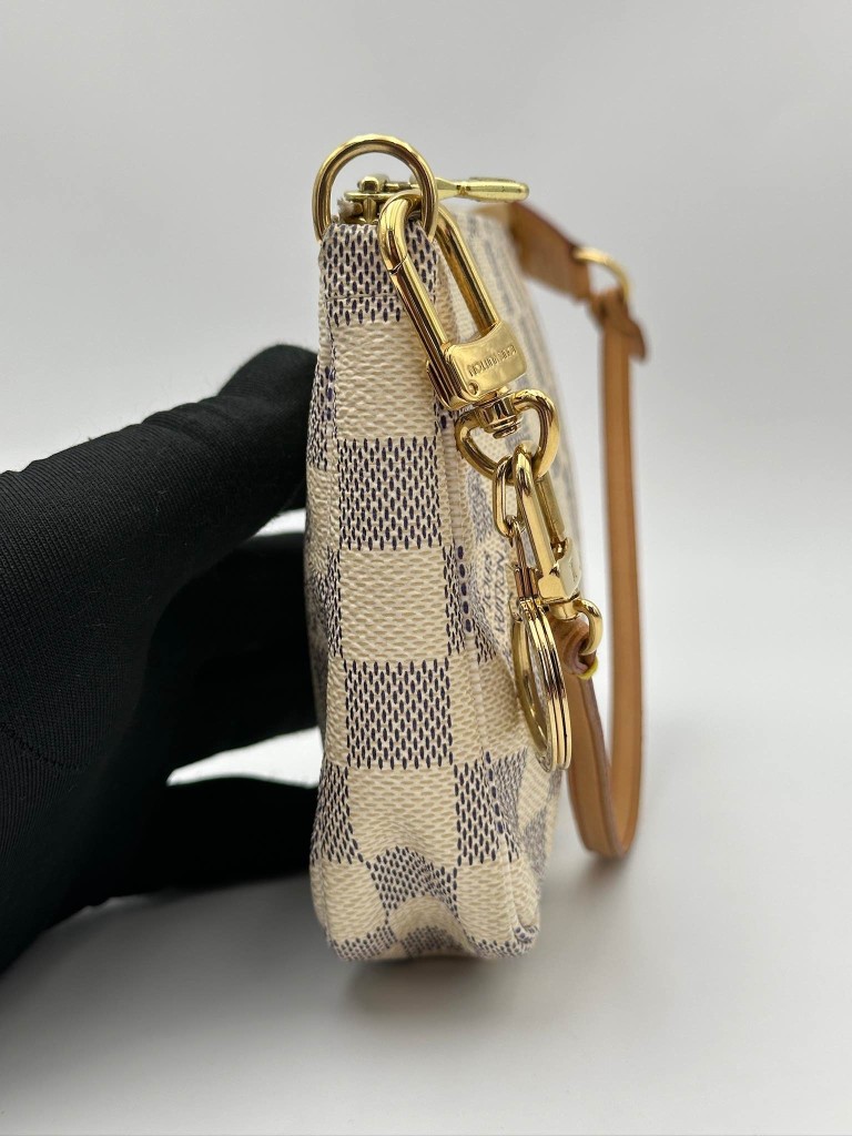 Louis Vuitton Pochette Accessoires bag