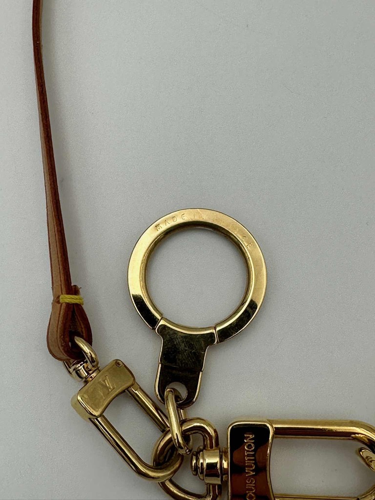 Louis Vuitton Pochette Accessoires bag