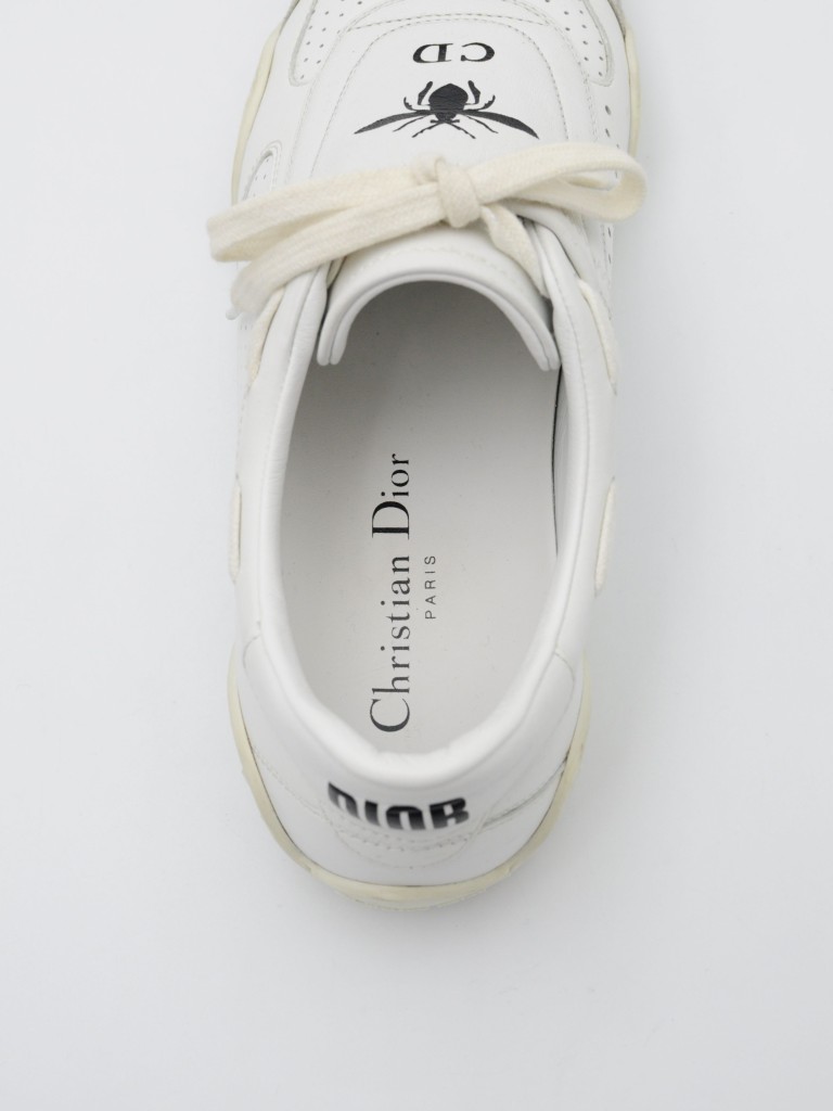 Dior sneakers