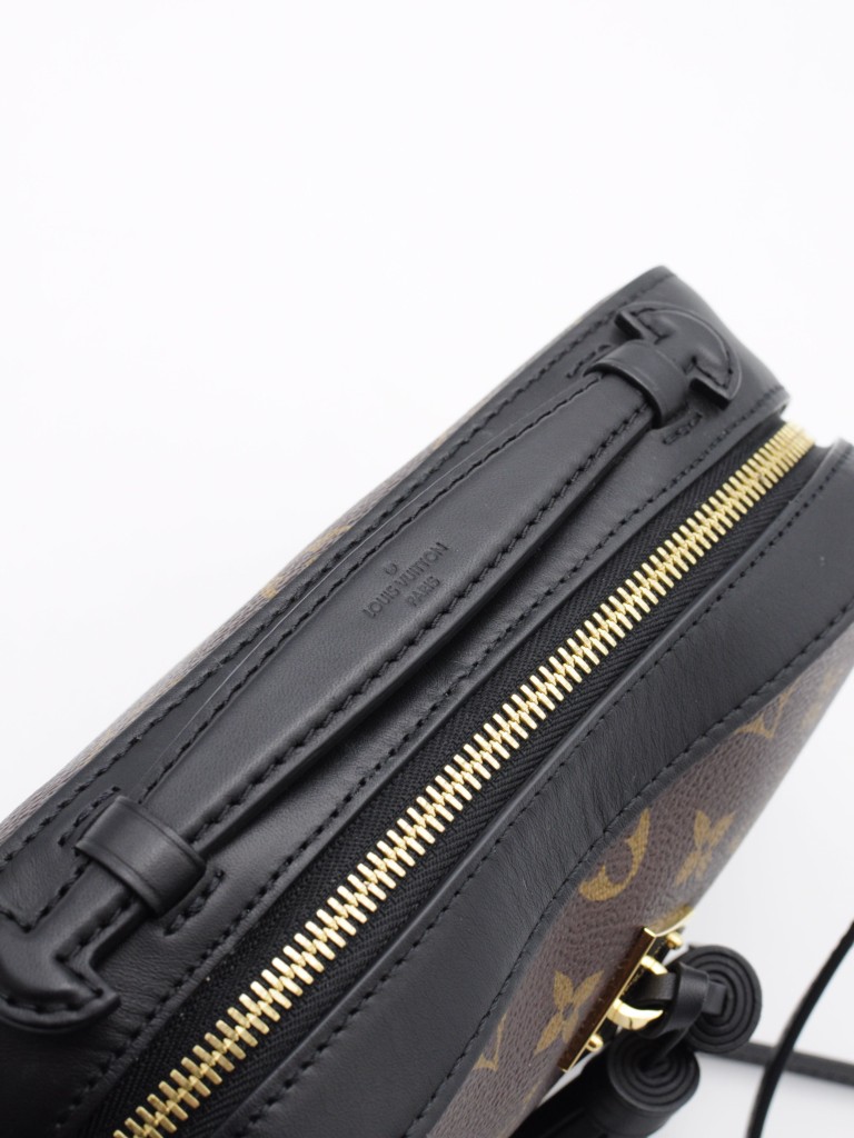 Louis Vuitton Saintonge bag