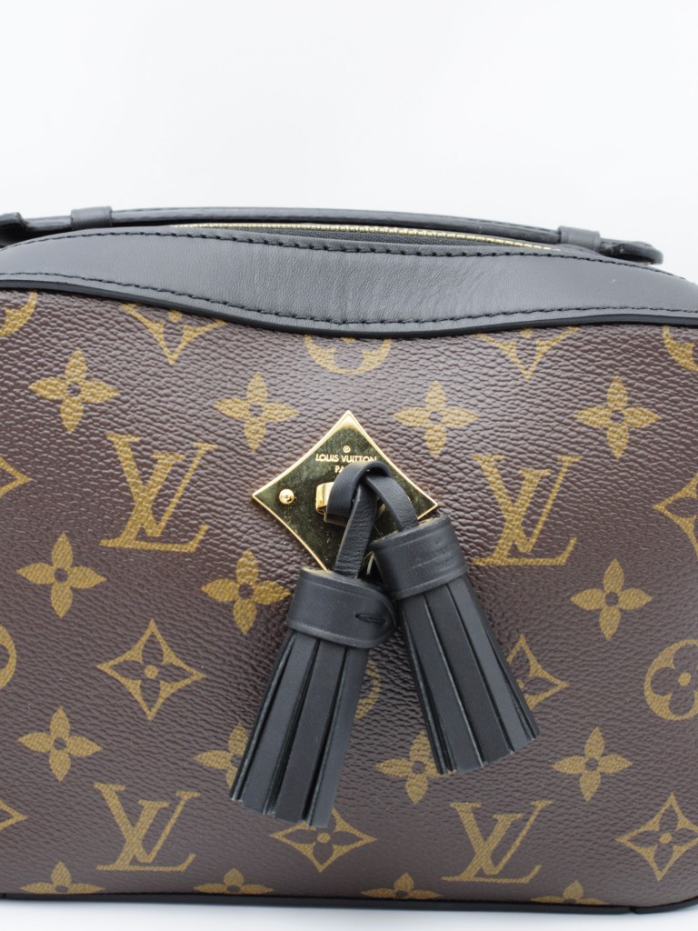 Louis Vuitton Saintonge bag