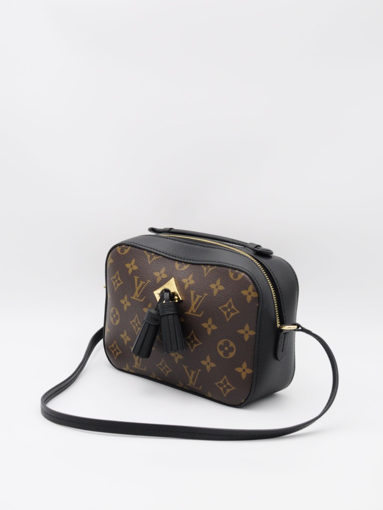 Louis Vuitton Saintonge bag