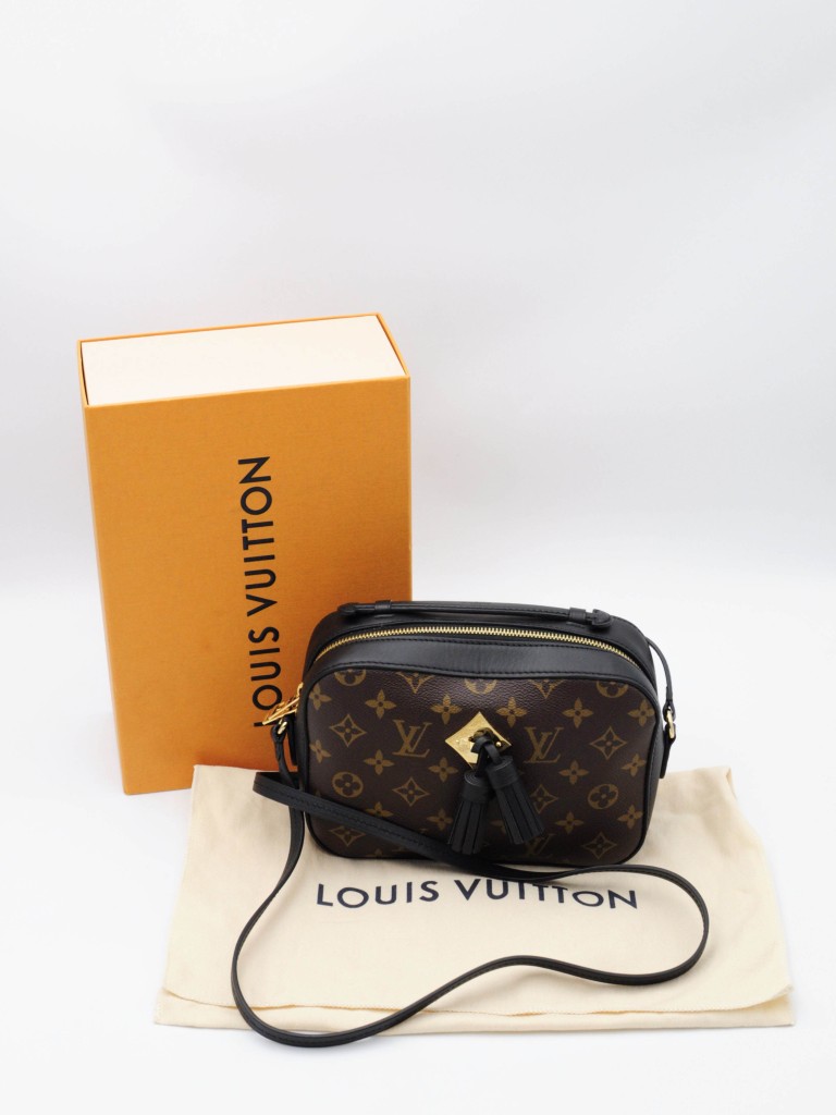 Louis Vuitton Saintonge bag