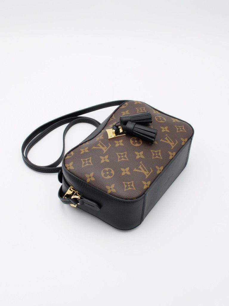 Louis Vuitton Saintonge bag