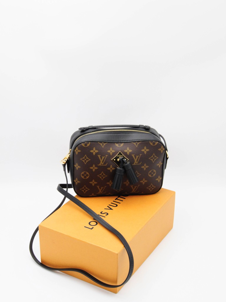 Louis Vuitton Saintonge bag