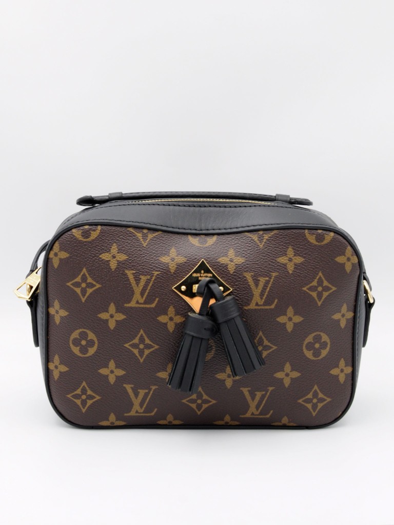 Louis Vuitton Saintonge bag