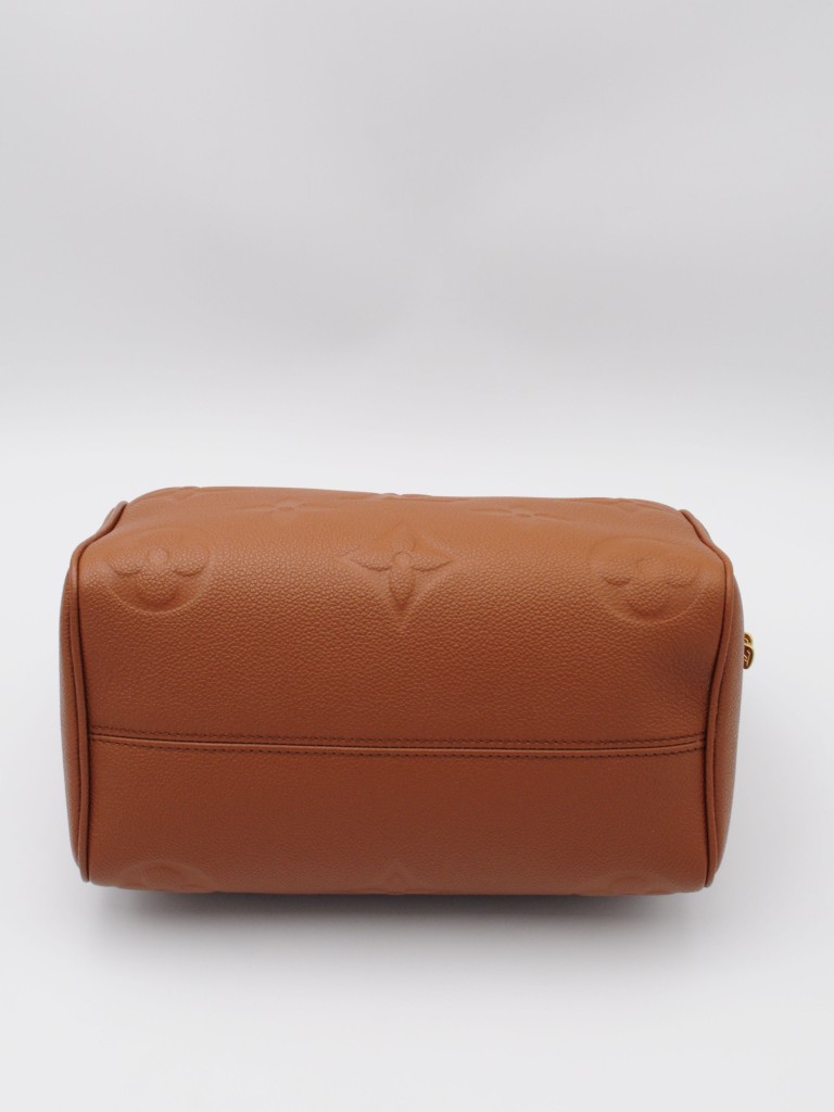 Louis Vuitton Speedy 25 Bandoulière bag
