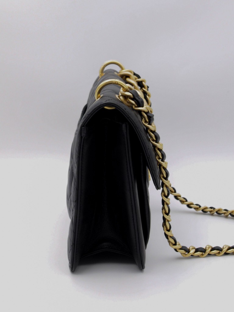 Chanel Seasonal Flap bag