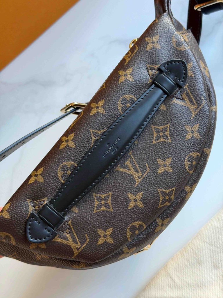 Nerka Louis Vuitton Monogram Canvas My LV World Tour Bumbag