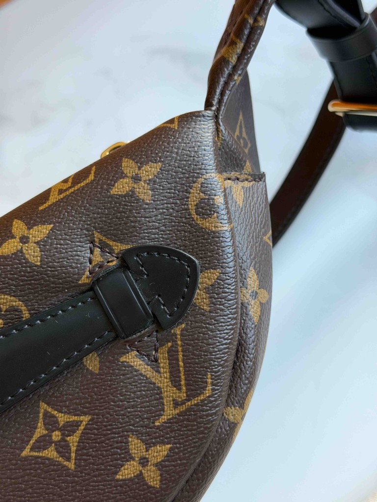 Louis Vuitton Monogram Canvas My LV World Tour Bumbag