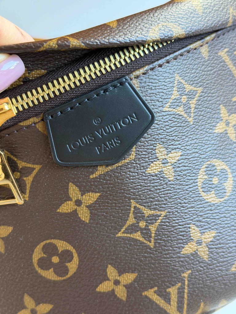 Nerka Louis Vuitton Monogram Canvas My LV World Tour Bumbag