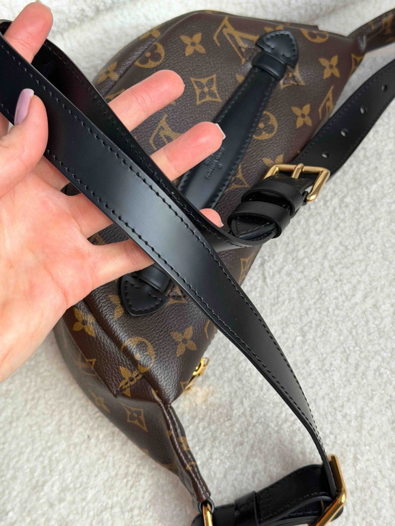 Louis Vuitton Monogram Canvas My LV World Tour Bumbag