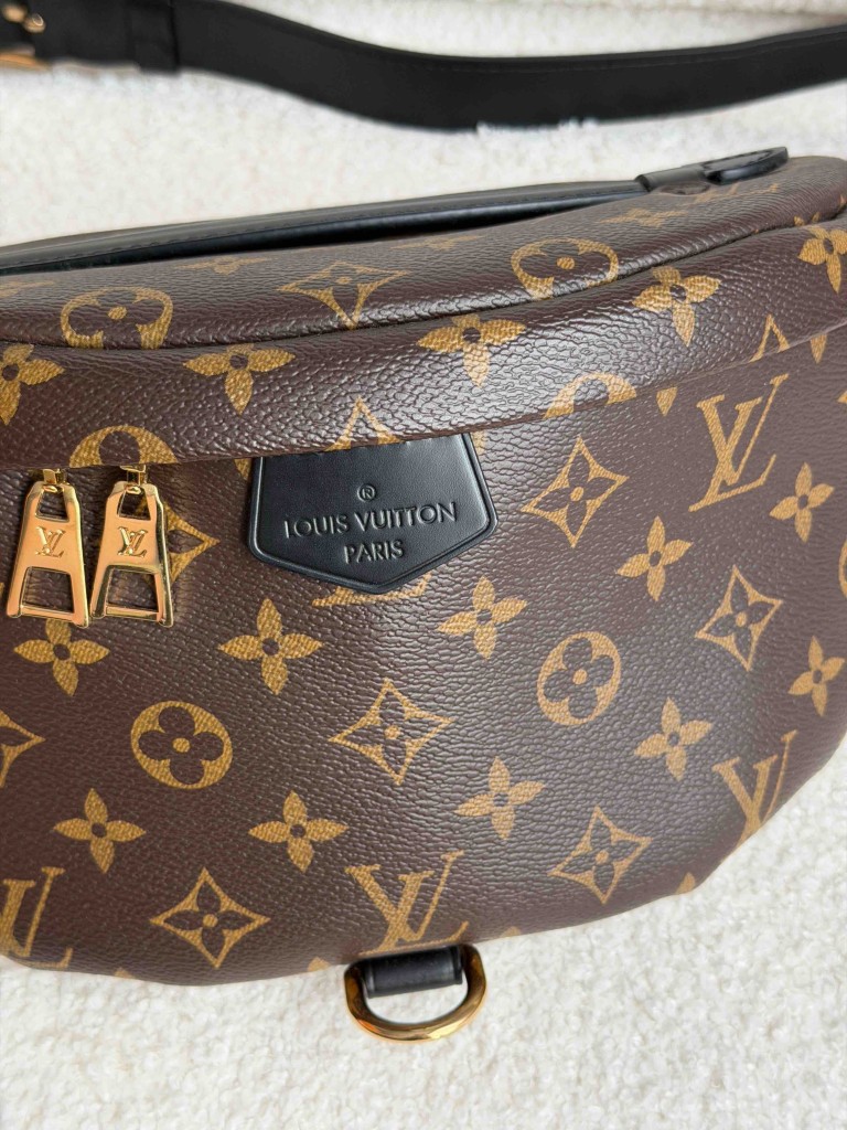 Nerka Louis Vuitton Monogram Canvas My LV World Tour Bumbag