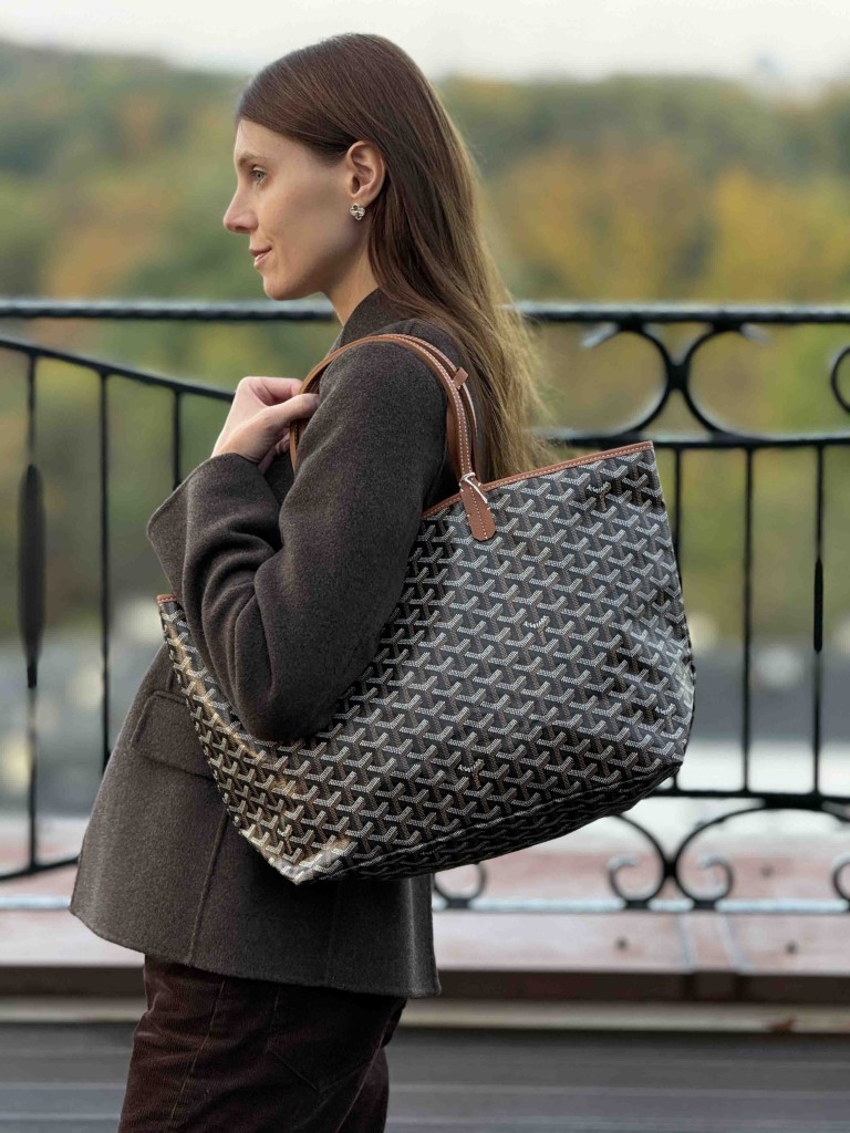 Goyard Saint Louis PM bag