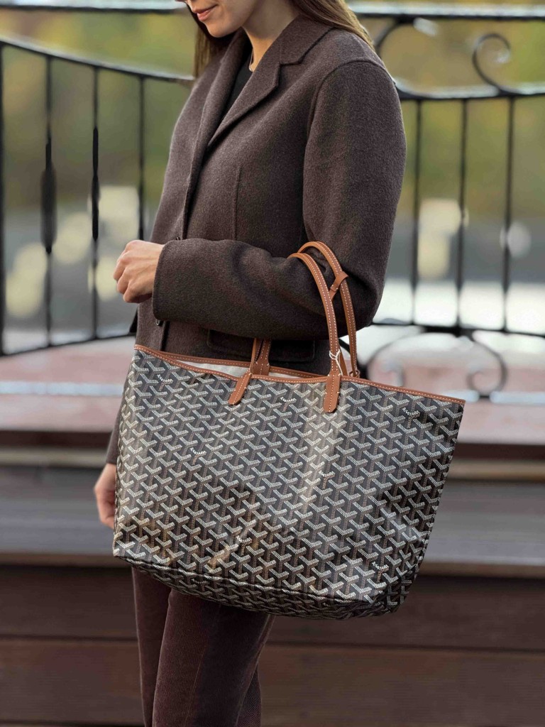 Goyard Saint Louis PM bag