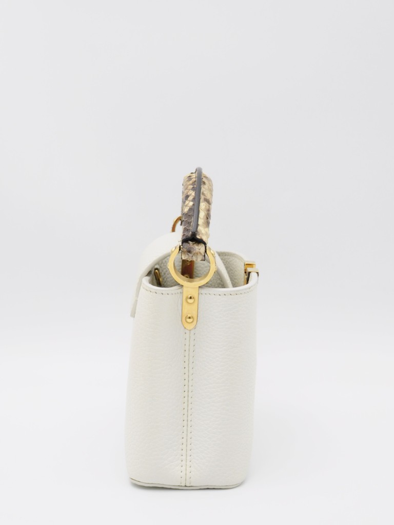 Louis Vuitton Capucines Mini bag