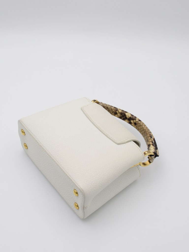 Louis Vuitton Capucines Mini bag