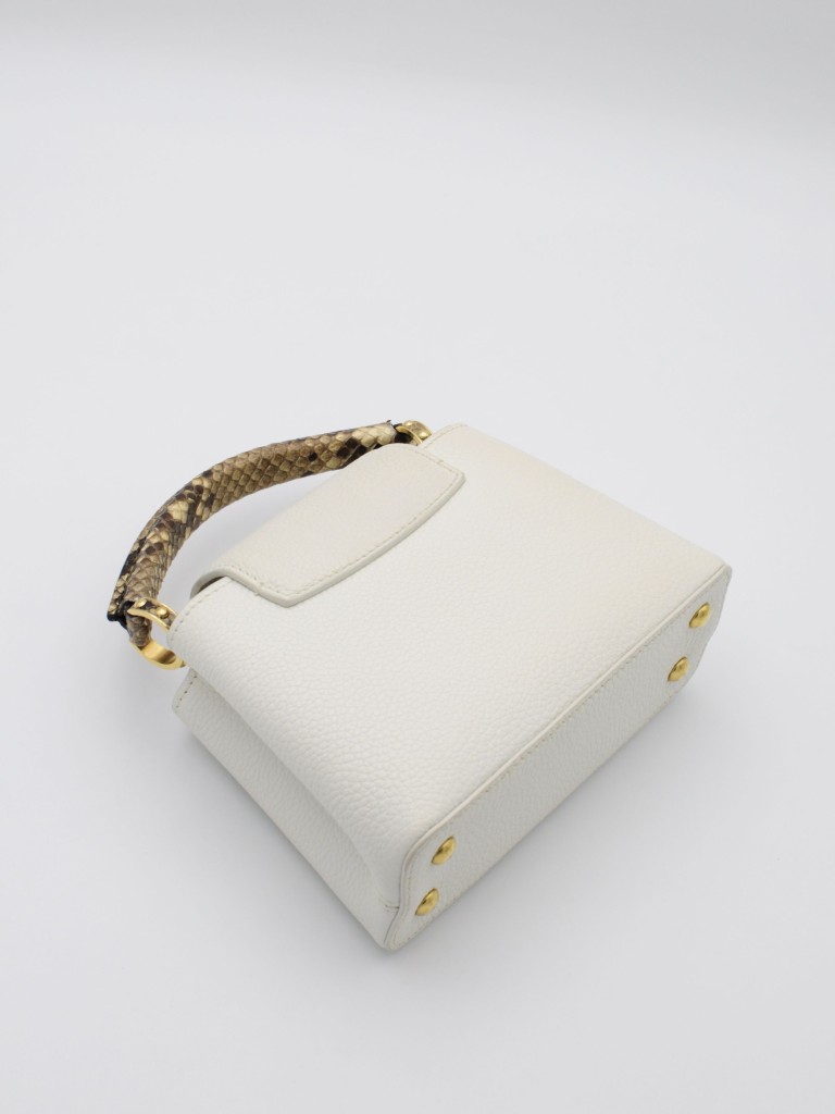 Louis Vuitton Capucines Mini bag