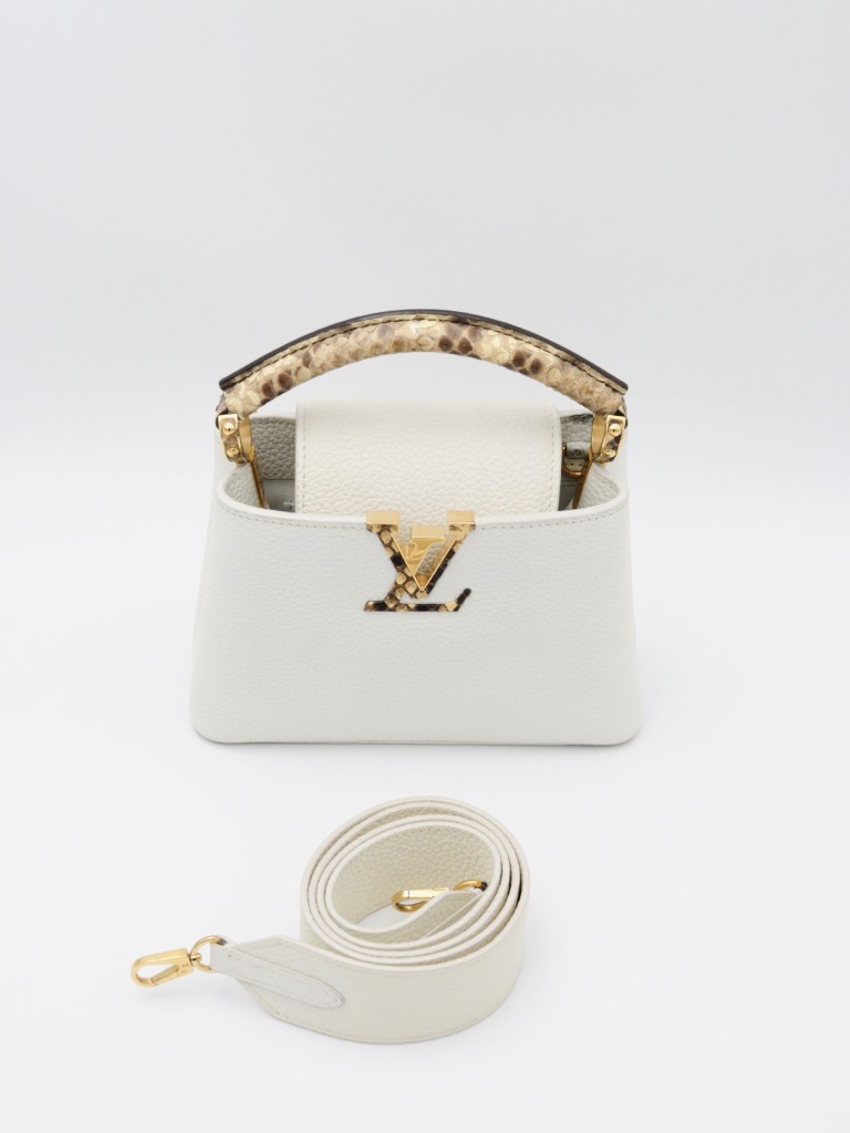 Louis Vuitton Capucines Mini bag