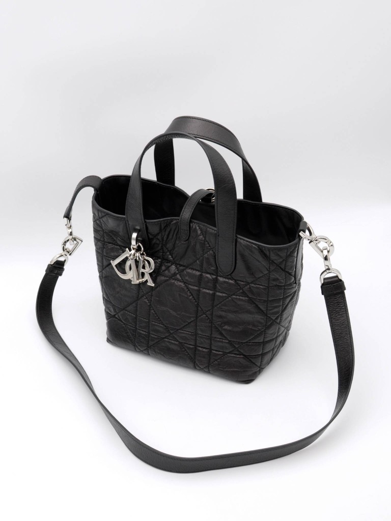 Dior Small Toujours Vertical Tote bag
