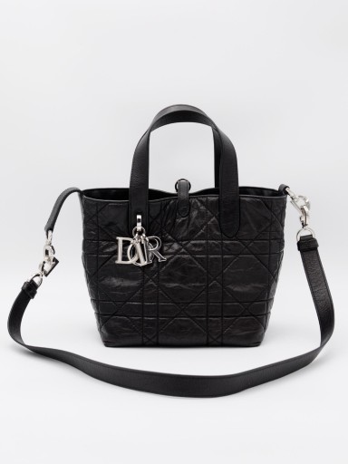 Dior Small Toujours Vertical Tote bag