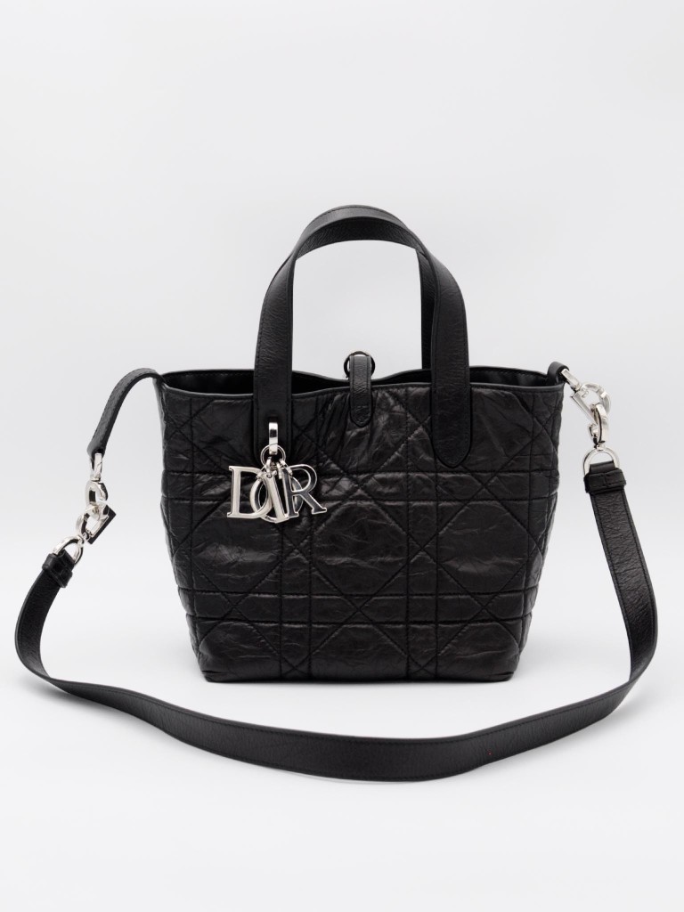 Dior Small Toujours Vertical Tote bag