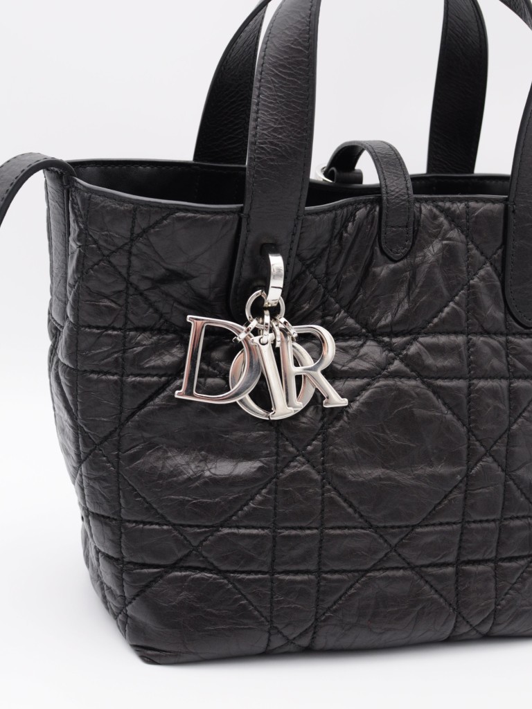 Dior Small Toujours Vertical Tote bag