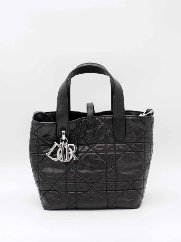 Dior Small Toujours Vertical Tote torebka