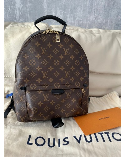 Louis Vuitton Palm Springs MM backpack