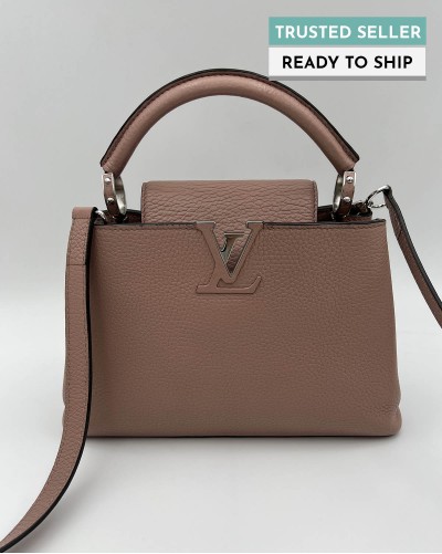 Louis Vuitton - Authenticated Capucines Handbag - Leather Multicolour for Women, Very Good Condition